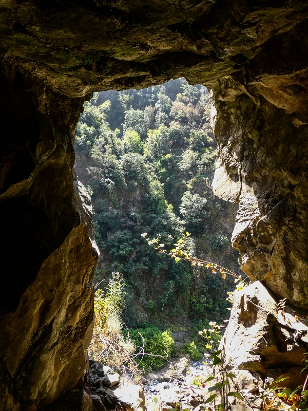 Levada do Coronel — Galerietunnel — Foto 5