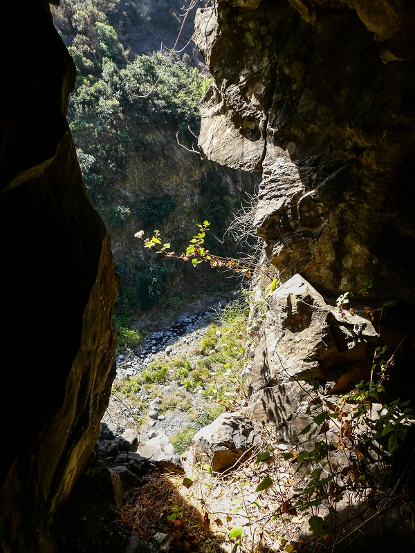 17 de maio de 2019 Para fechar: 5 levadas em Ponta do Sol — O túnel em galeria — foto 6