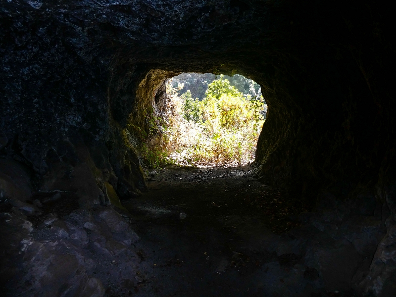 17 de maio de 2019 Para fechar: 5 levadas em Ponta do Sol — O túnel em galeria — foto 9