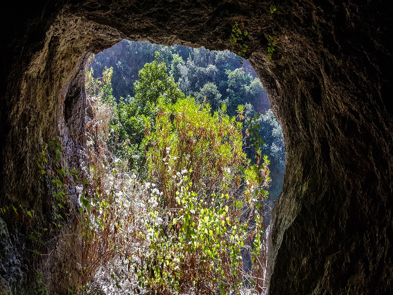 Levada do Coronel — Galerietunnel — Foto 1