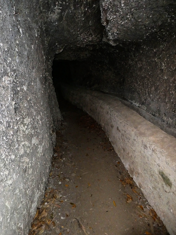 17 de maio de 2019 Para fechar: 5 levadas em Ponta do Sol — O túnel em galeria — foto 12