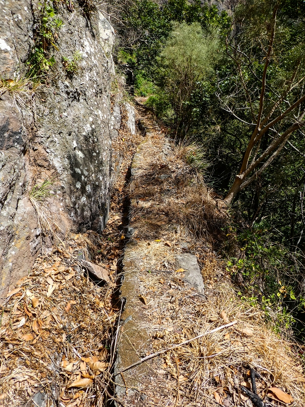 Levada do Coronel — Zum Galerietunnel — Foto 5