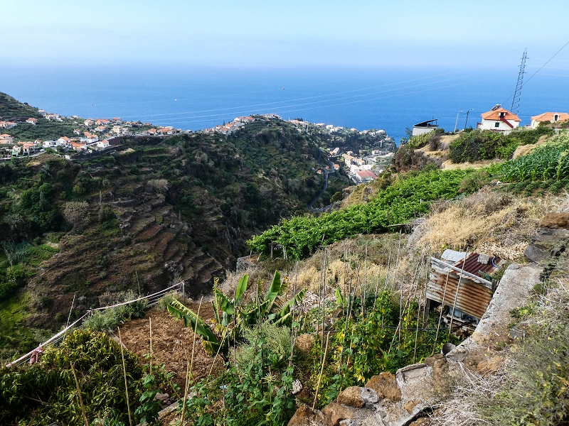 17 de maio de 2019 Para fechar: 5 levadas em Ponta do Sol — Para a Levada do Coronel e até ao cruzamento de estradas — foto 9