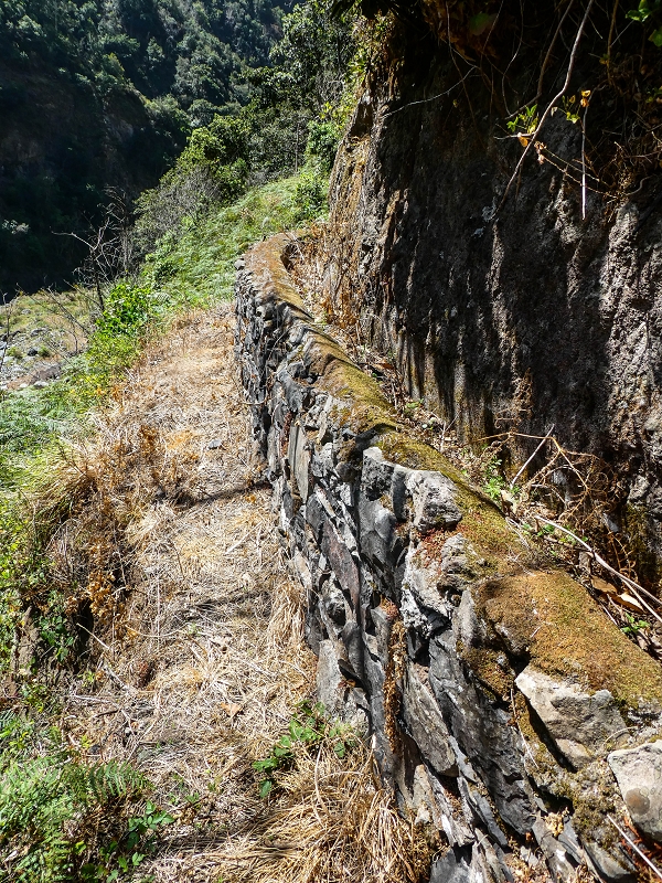Levada do Coronel — Zum Galerietunnel — Foto 1