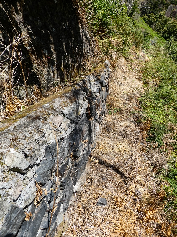 17 de maio de 2019 Para fechar: 5 levadas em Ponta do Sol — Seguindo até à Madre 1 — foto 7