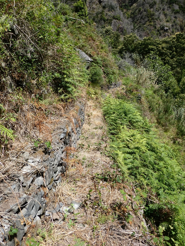 Levada do Coronel — Zum Galerietunnel — Foto 4