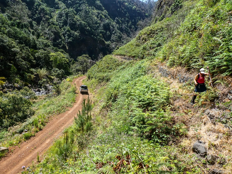 17 de maio de 2019 Para fechar: 5 levadas em Ponta do Sol — Seguindo até à Madre 1 — foto 9