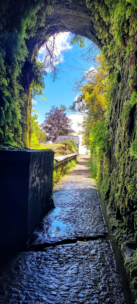 Levada Vinte e Cinco Fontes — Furado Novo — foto 10