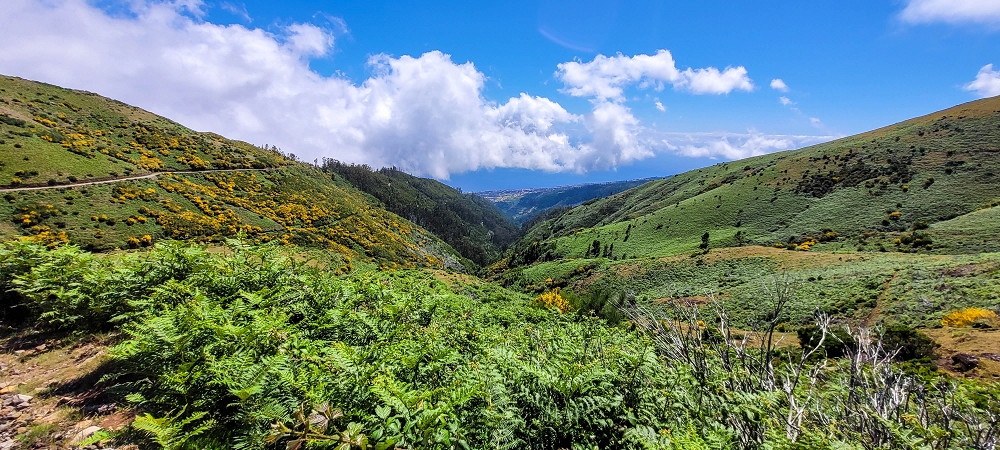 17 June 2022 Furado Velho and Furado Novo — Ascent to the Quinta dos Tis — photo 8