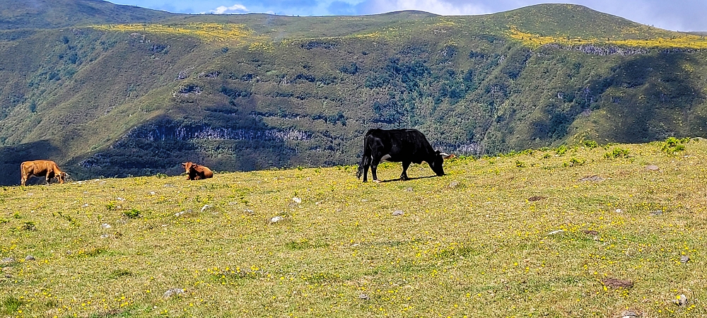 17 June 2022 Furado Velho and Furado Novo — Pico Gordo — photo 6