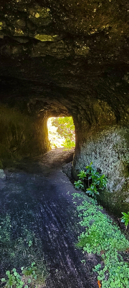 Levada do Risco — Course on the north side, 2022 — photo 16