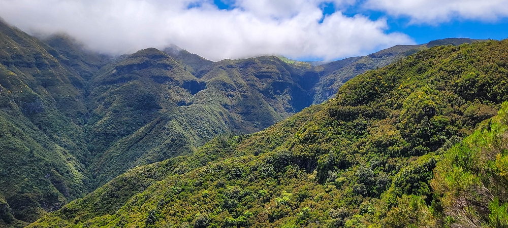 Levada do Risco — Course on the north side, 2022 — photo 12