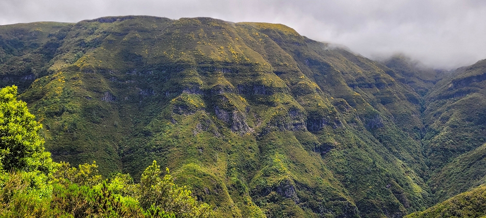 Levada do Risco — Course on the north side, 2022 — photo 13