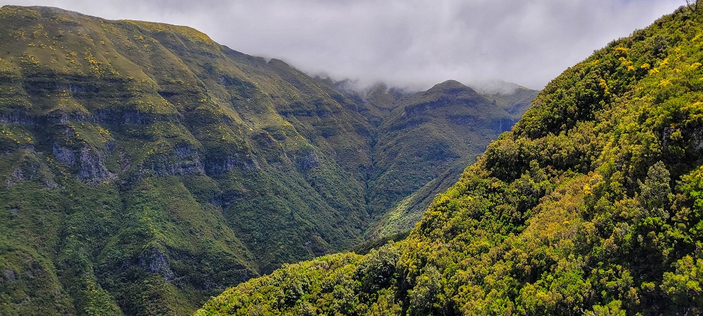 17 June 2022 Furado Velho and Furado Novo — On through the 2nd tunnel to the bridge over the Ribeira do Alecrim — photo 2