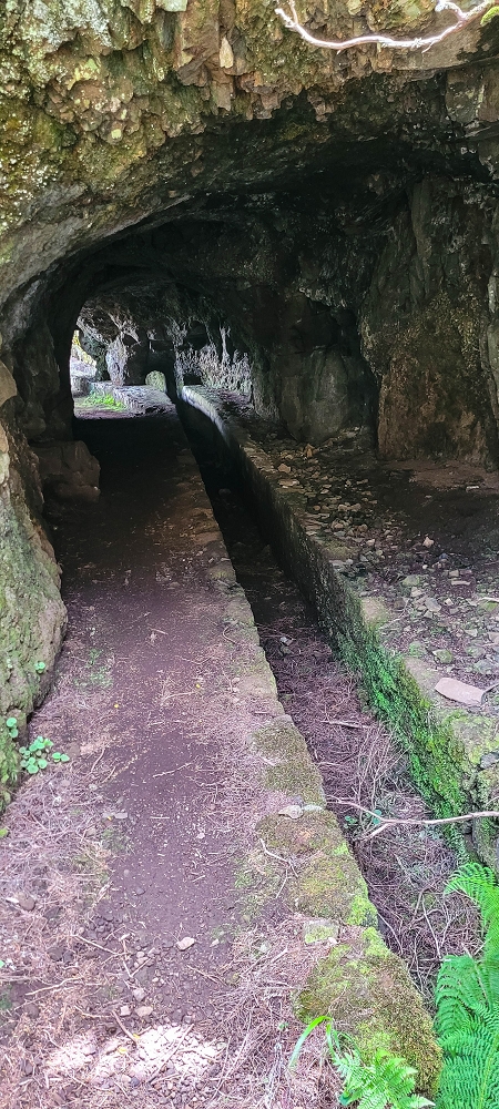 Levada do Risco — Course on the north side, 2022 — photo 11
