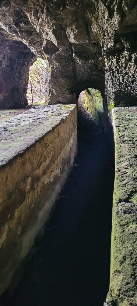 Levada do Risco — Course on the north side, 2022 — photo 9