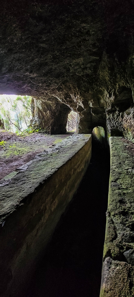 Levada do Risco — Course on the north side, 2022 — photo 10