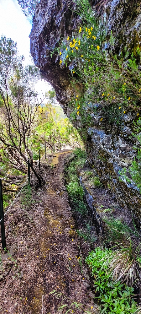 Levada do Risco — Course on the north side, 2022 — photo 4