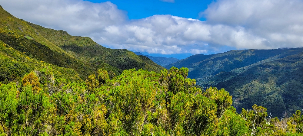 17 June 2022 Furado Velho and Furado Novo — Descent to the Furado Velho — photo 4