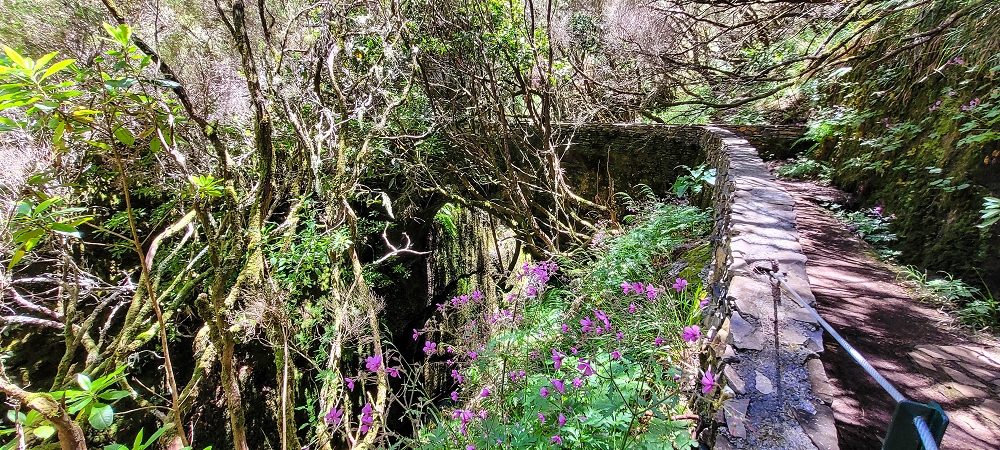 Levada do Risco — Course on the north side, 2022 — photo 1