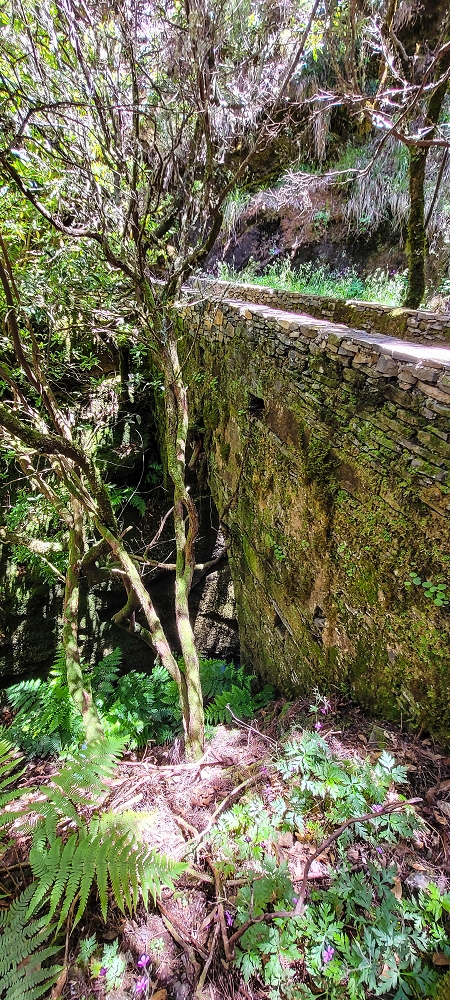 Levada do Risco — Course on the north side, 2022 — photo 3