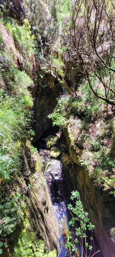 17 June 2022 Furado Velho and Furado Novo — On through the 2nd tunnel to the bridge over the Ribeira do Alecrim — photo 19