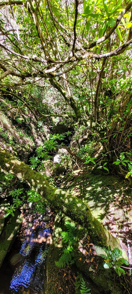 17 June 2022 Furado Velho and Furado Novo — On through the 2nd tunnel to the bridge over the Ribeira do Alecrim — photo 20
