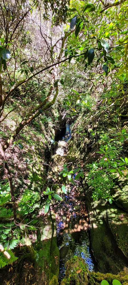 17 June 2022 Furado Velho and Furado Novo — On through the 2nd tunnel to the bridge over the Ribeira do Alecrim — photo 21
