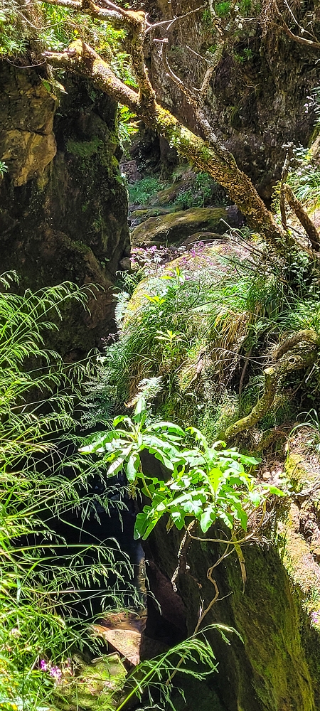 17 June 2022 Furado Velho and Furado Novo — On through the 2nd tunnel to the bridge over the Ribeira do Alecrim — photo 22