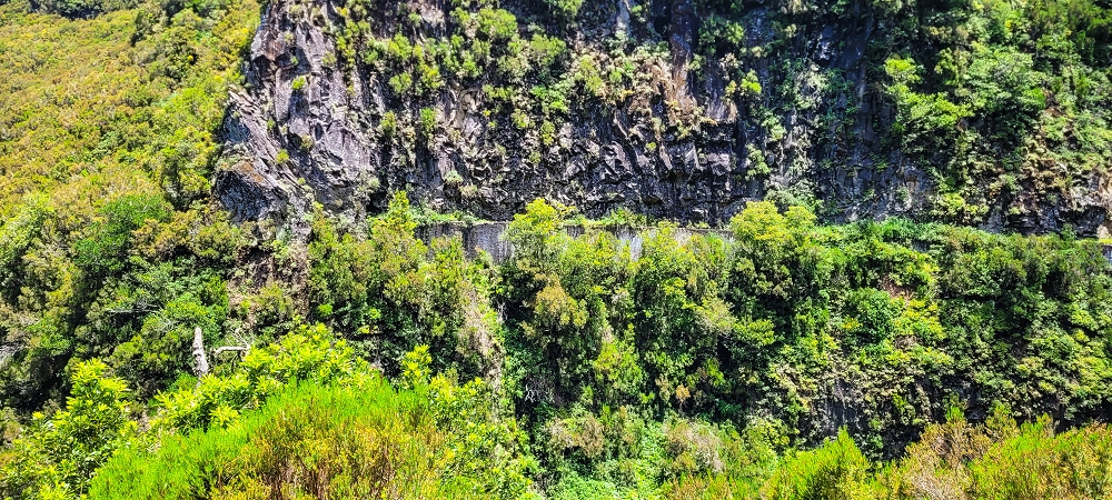 Levada do Risco — The path from the Madre to the waterfall — photo 2