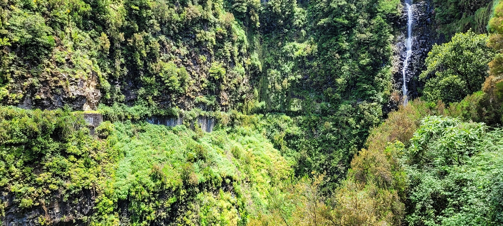 Levada do Risco — The path from the Madre to the waterfall — photo 3