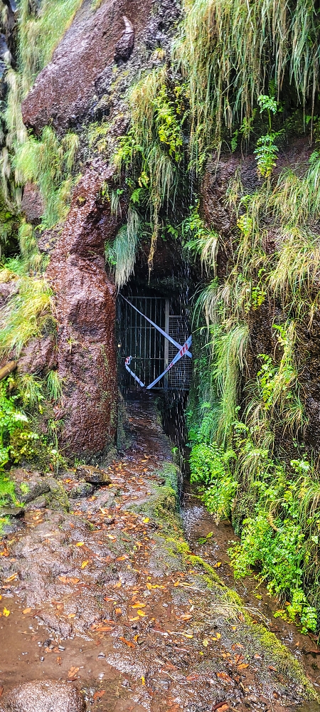 Levada do Risco — The forbidden path — photo 1