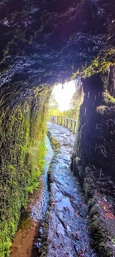 Levada do Risco — The forbidden path — photo 4