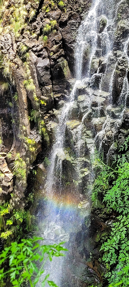 Levada do Risco — Levada do Risco: the waterfall — photo 9