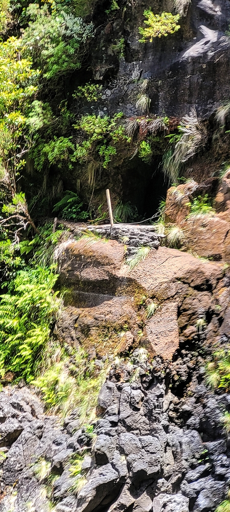 Levada do Risco — The path from the Madre to the waterfall — photo 1