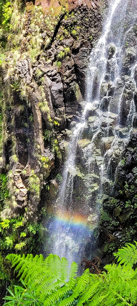 Levada do Risco — Levada do Risco: the waterfall — photo 6