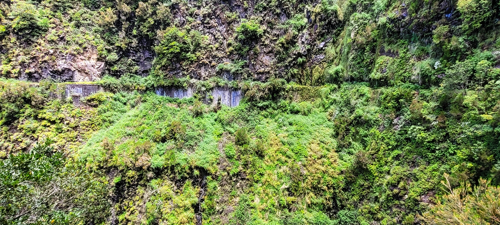 Levada do Risco — The path from the Madre to the waterfall — photo 4