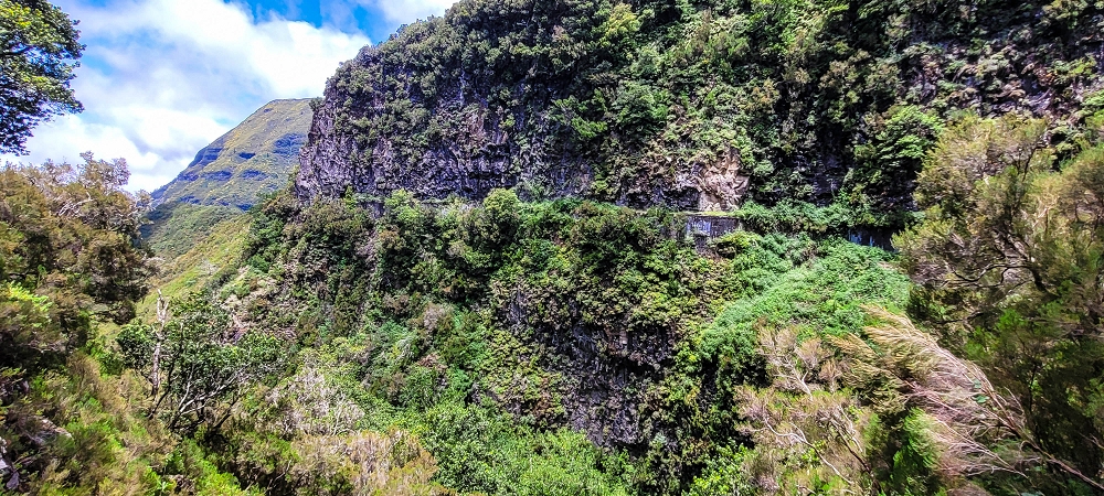 Levada do Risco — The path from the Madre to the waterfall — photo 5