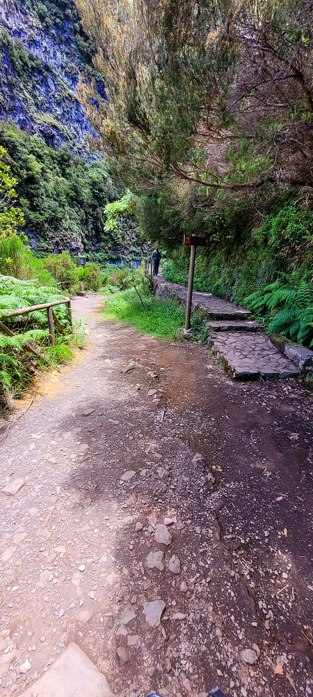 Levada do Risco — Levada do Risco: Galeria do Rabacal — photo 3