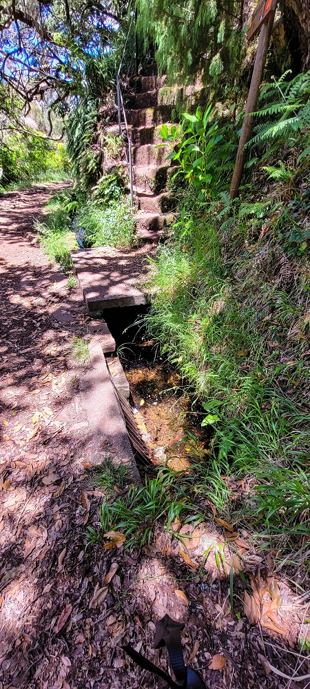 Levada do Risco — End of the active section: start of the piping — photo 2