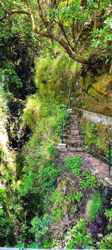 Levada Vinte e Cinco Fontes — Furado Novo: levada de adução da Ribeira do Alecrim — foto 1