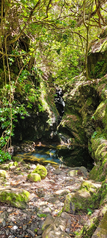 Levada Vinte e Cinco Fontes — Furado Novo: levada de adução da Ribeira do Alecrim — foto 3