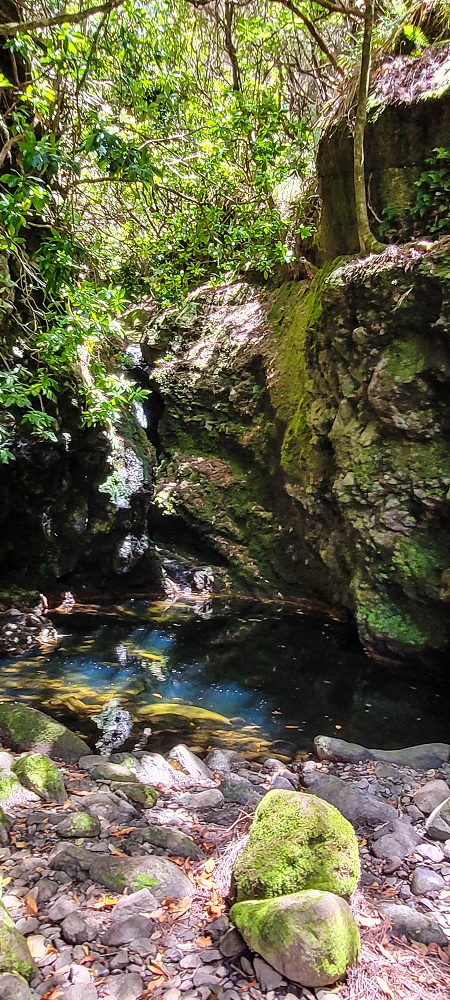 Levada Vinte e Cinco Fontes — Furado Novo: levada de adução da Ribeira do Alecrim — foto 4