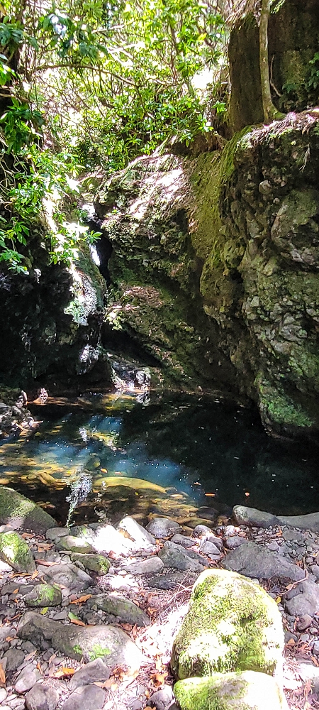 Levada Vinte e Cinco Fontes — Furado Novo: levada de adução da Ribeira do Alecrim — foto 5