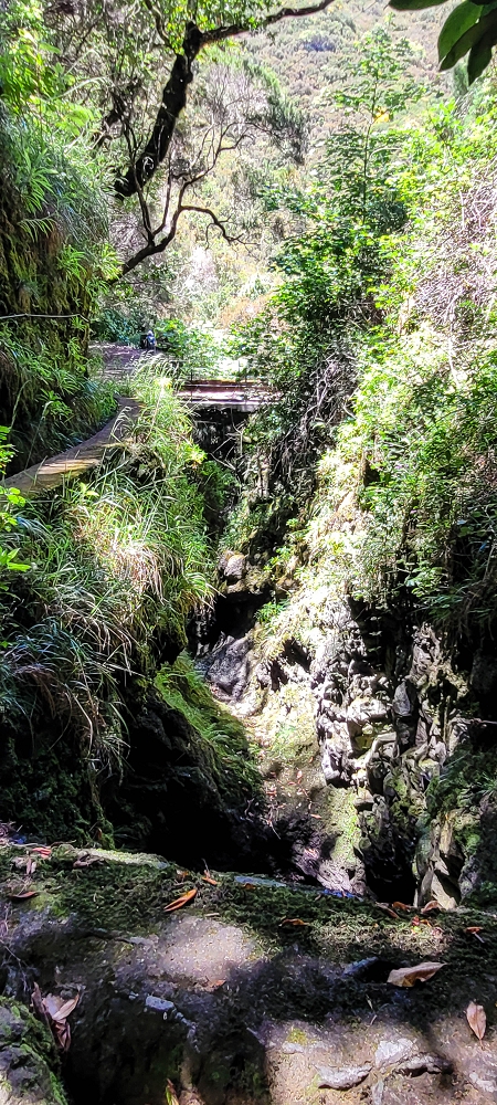 Levada Vinte e Cinco Fontes — Furado Novo: levada de adução da Ribeira do Alecrim — foto 6