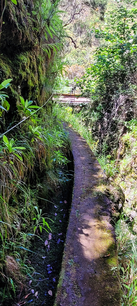 Levada Vinte e Cinco Fontes — Furado Novo: levada de adução da Ribeira do Alecrim — foto 7