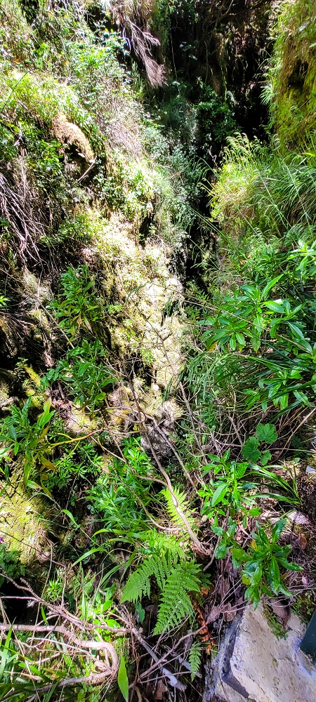 Levada Vinte e Cinco Fontes — Furado Novo: levada de adução da Ribeira do Alecrim — foto 10