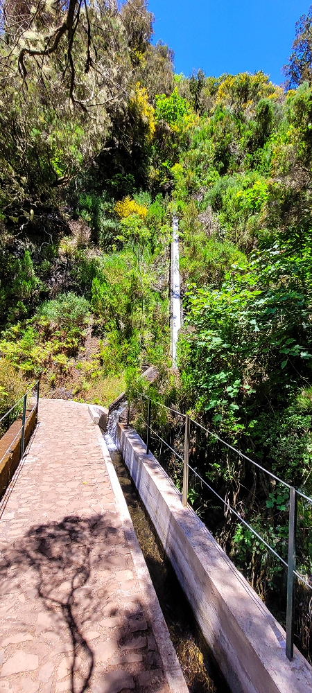 Levada do Risco — End of the active section: vertical levada down to the Levada Vinte e Cinco Fontes — photo 3