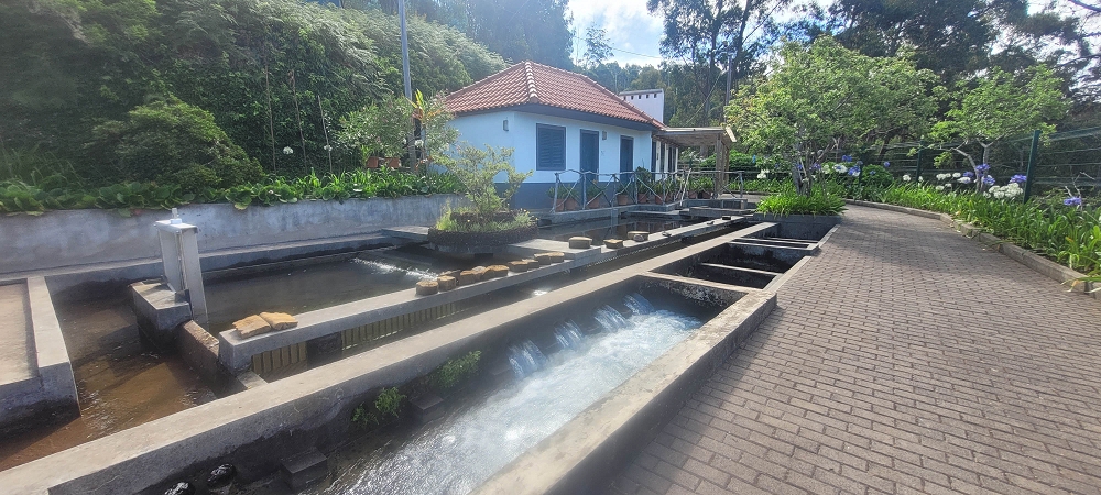 17.06.2024 Auf der Levada Nova von Estreito da Calheta nach Prazeres — Vom Lombo dos Moinhos zur Kreuzung mit der ER210 — Foto 1