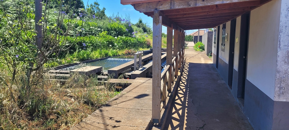 Levada Nova — Weiter bis zum Levadahaus — Foto 2